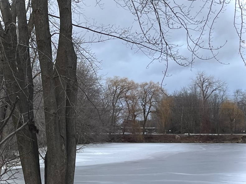 Chambre Chez L'habitant Laval 469572-2