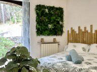 Room For Rent Hyères 485871