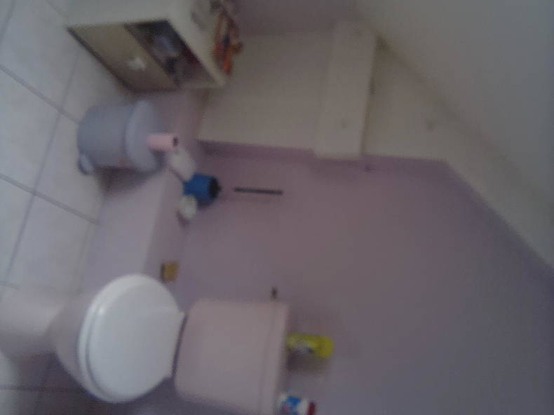 Gastfamilie Dingé 496223-2