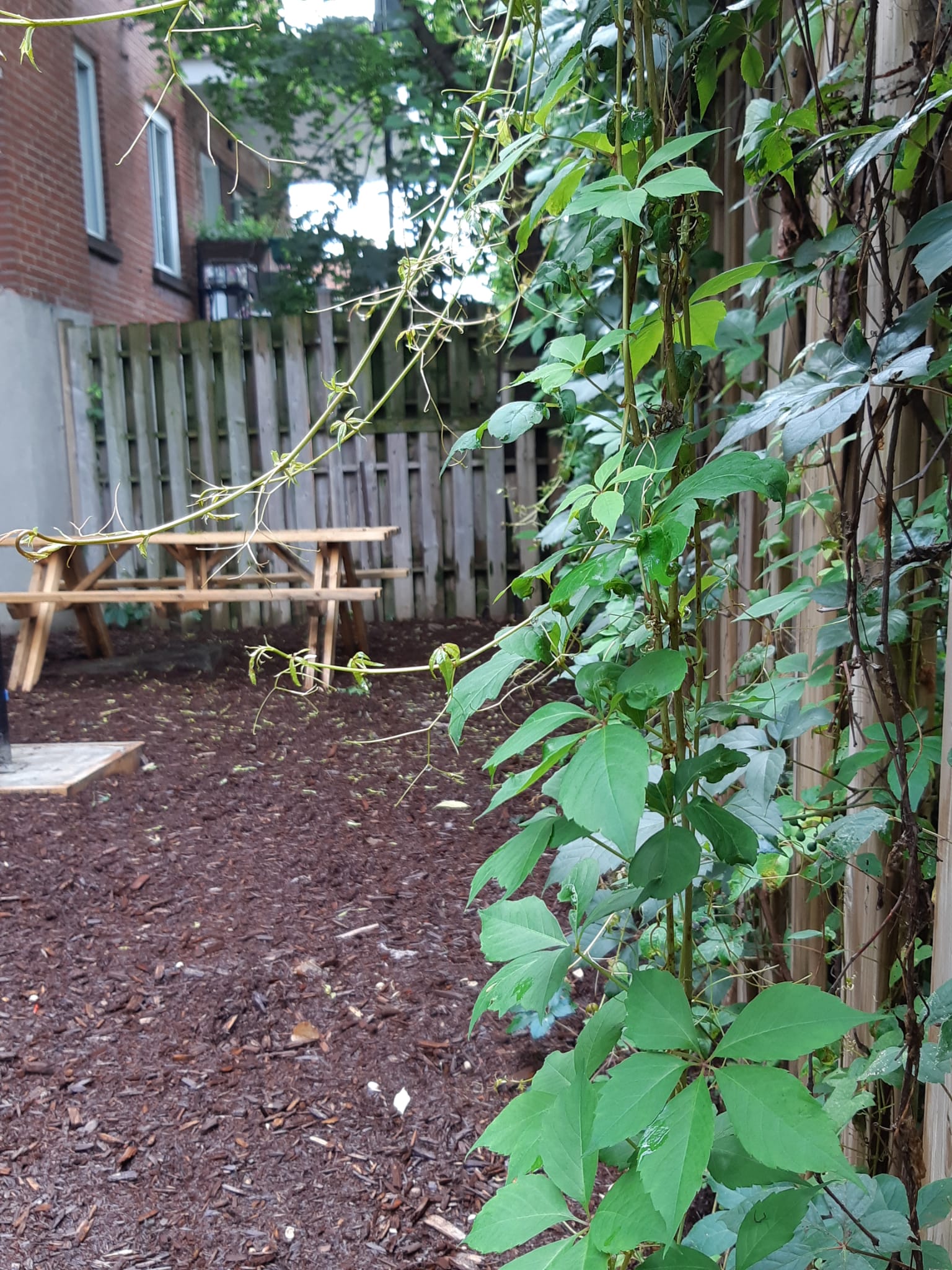 Coliving Montréal 496712