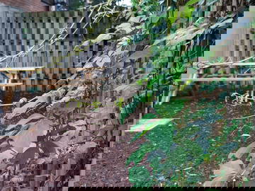 Coliving Montréal 496712-11