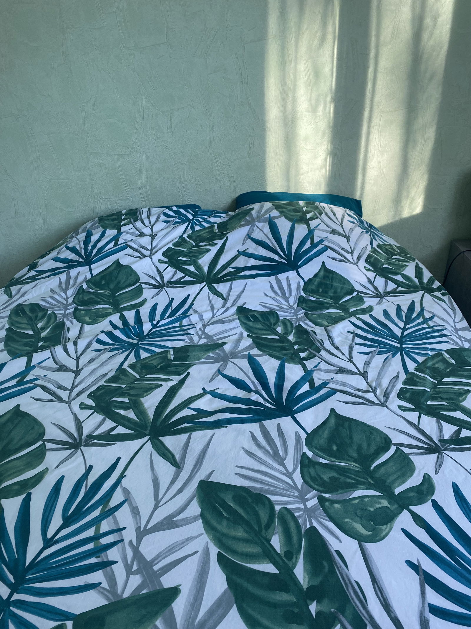 Chambre Chez L'habitant Segré-en-Anjou Bleu 503747