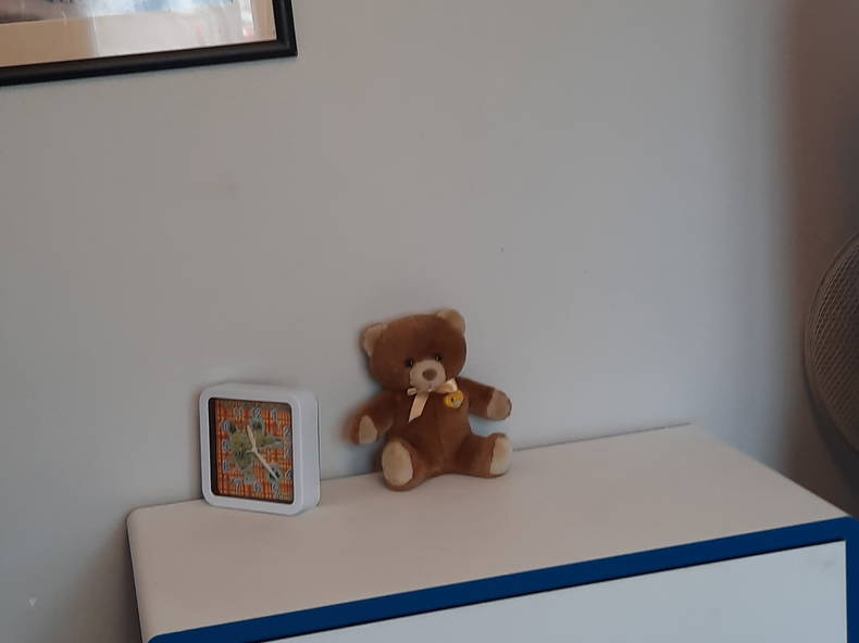 Gastfamilie Donnemarie-Dontilly 512719-1