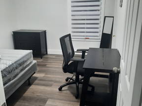 Chambre à louer