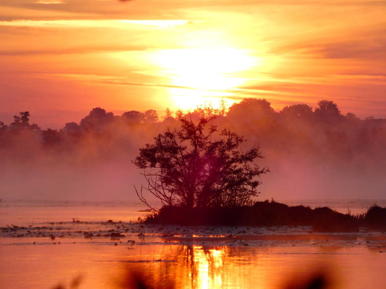 Gastfamilie Lussat 573454-5