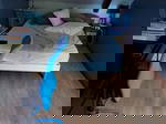 Quedarse En Casa Saint-Lunaire 576668