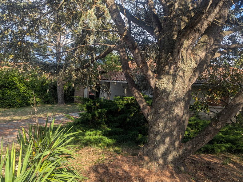 Quedarse En Casa Fonsorbes 595629-1