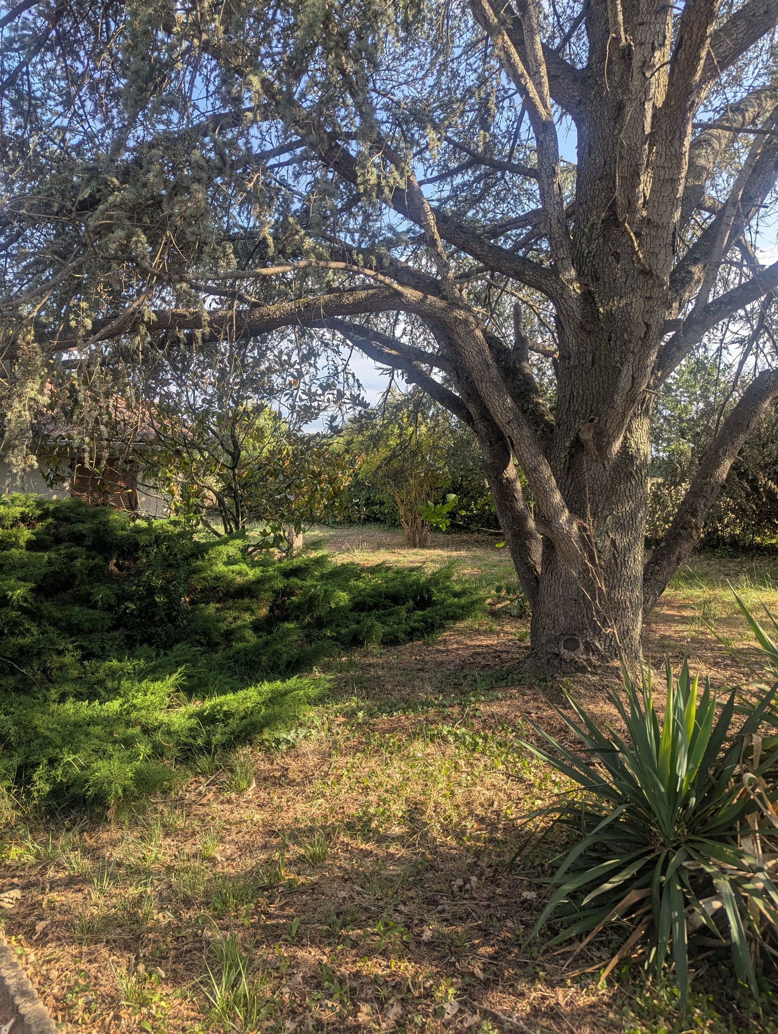 Chambre Chez L'habitant Fonsorbes 595629