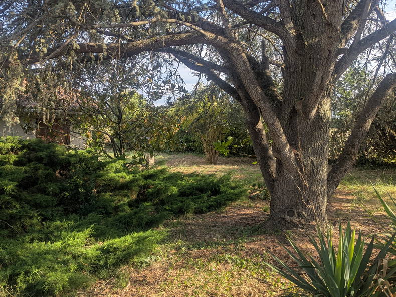 Quedarse En Casa Fonsorbes 595629-3