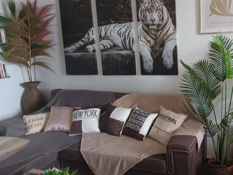 Colocation Pointe-à-Pitre 606221-1