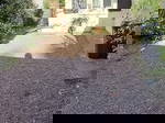 Studio Zu Vermieten Eysines 609940
