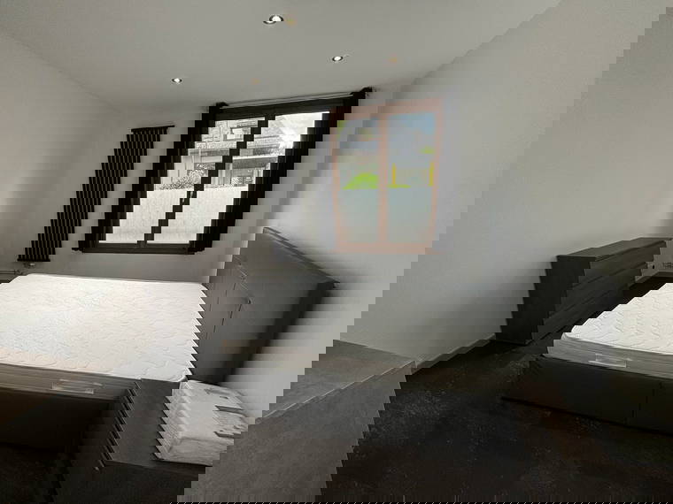 Colocación Cognin 625017