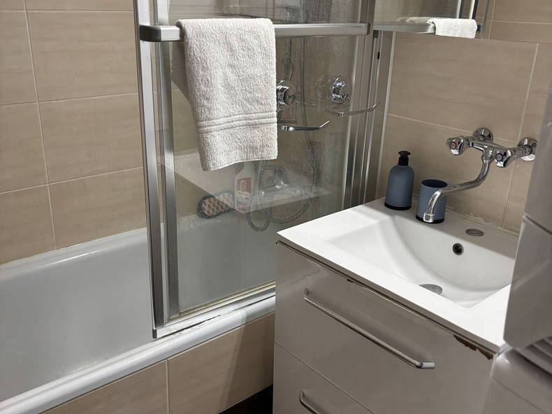 Colocation Ferney-Voltaire 627975-3