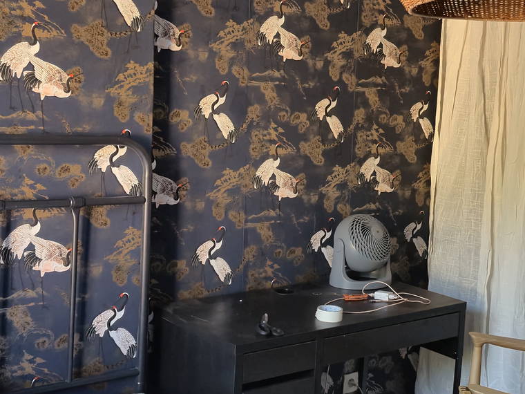 Homestay Meudon 630871