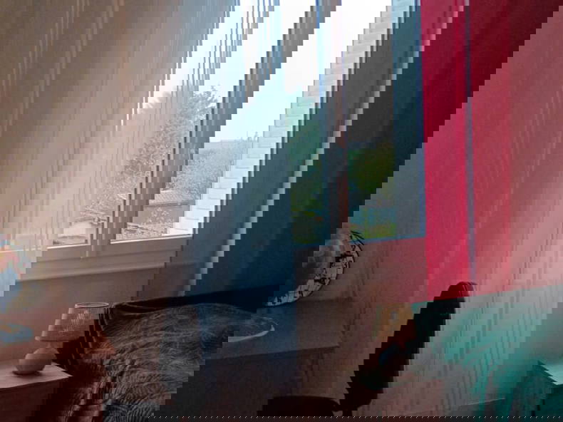 Hjemmeophold Limoges 642433-5