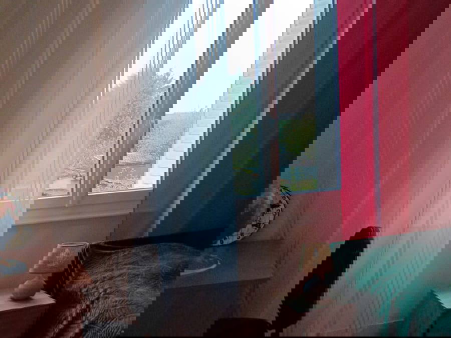 Chambre Chez L'habitant Limoges 642433-1