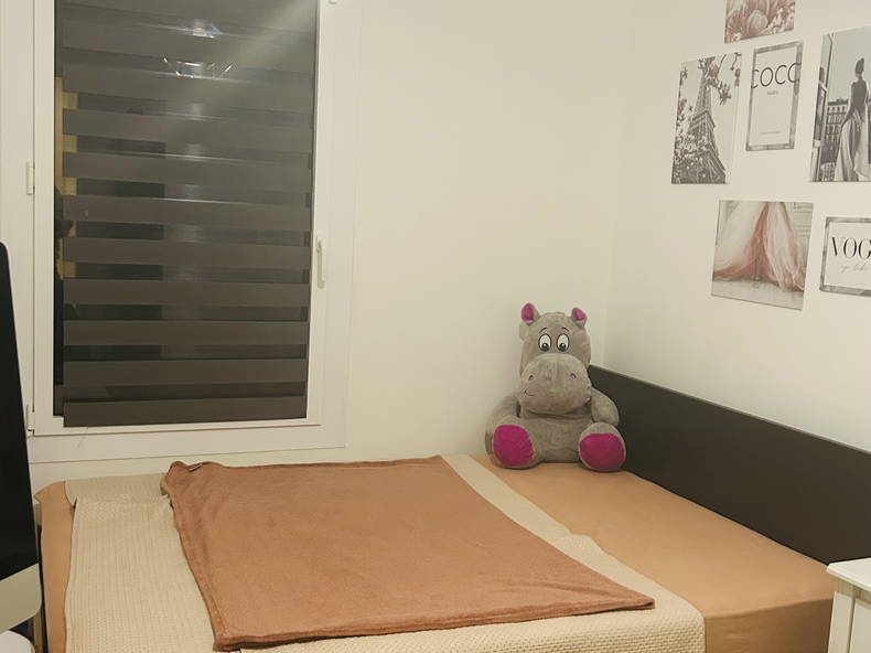 Chambre Chez L'habitant Collonges-sous-Salève 642562-5