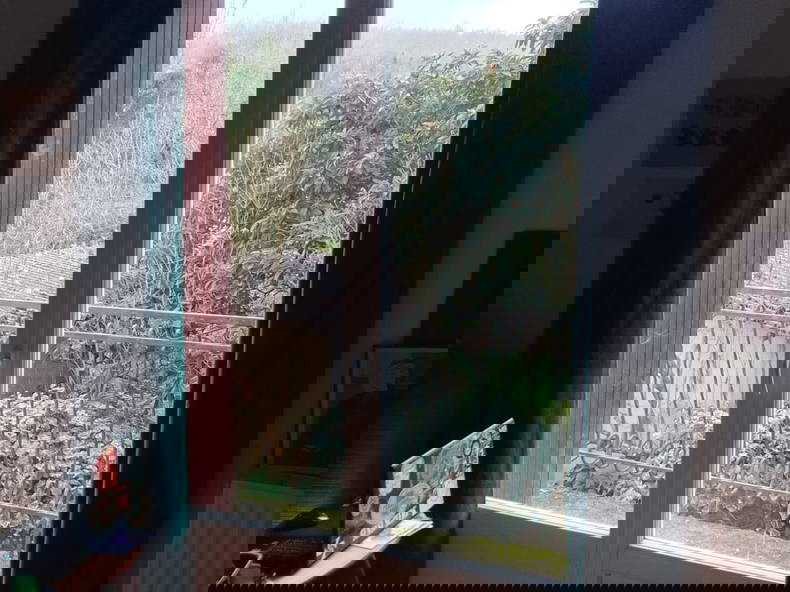 Colocation Sainte-Croix-Volvestre 661191-2