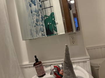 Quedarse en casa à louer à Montréal - baño-10