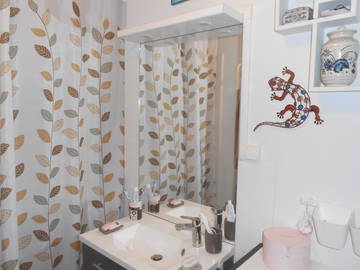 Chambre chez l'habitant à louer à Toulouse - photo 7 : salle de bain-7