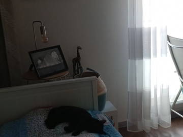 Chambre chez l'habitant à louer à Antibes - photo 1 : chambre-1