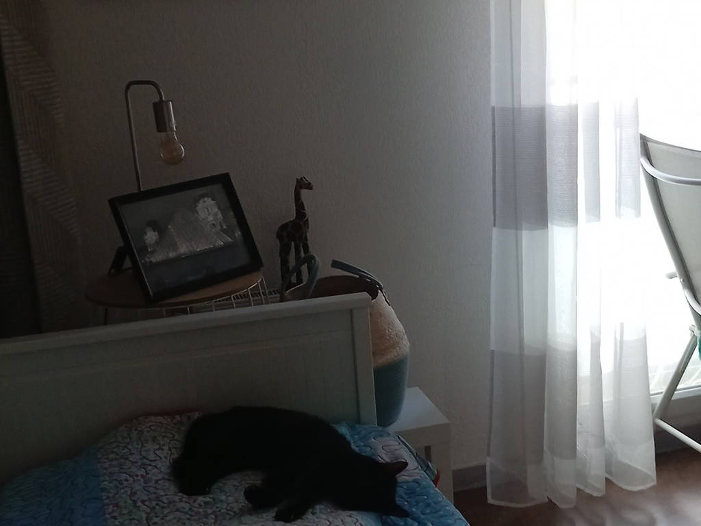 Chambre Chez L'habitant Antibes 672255-1