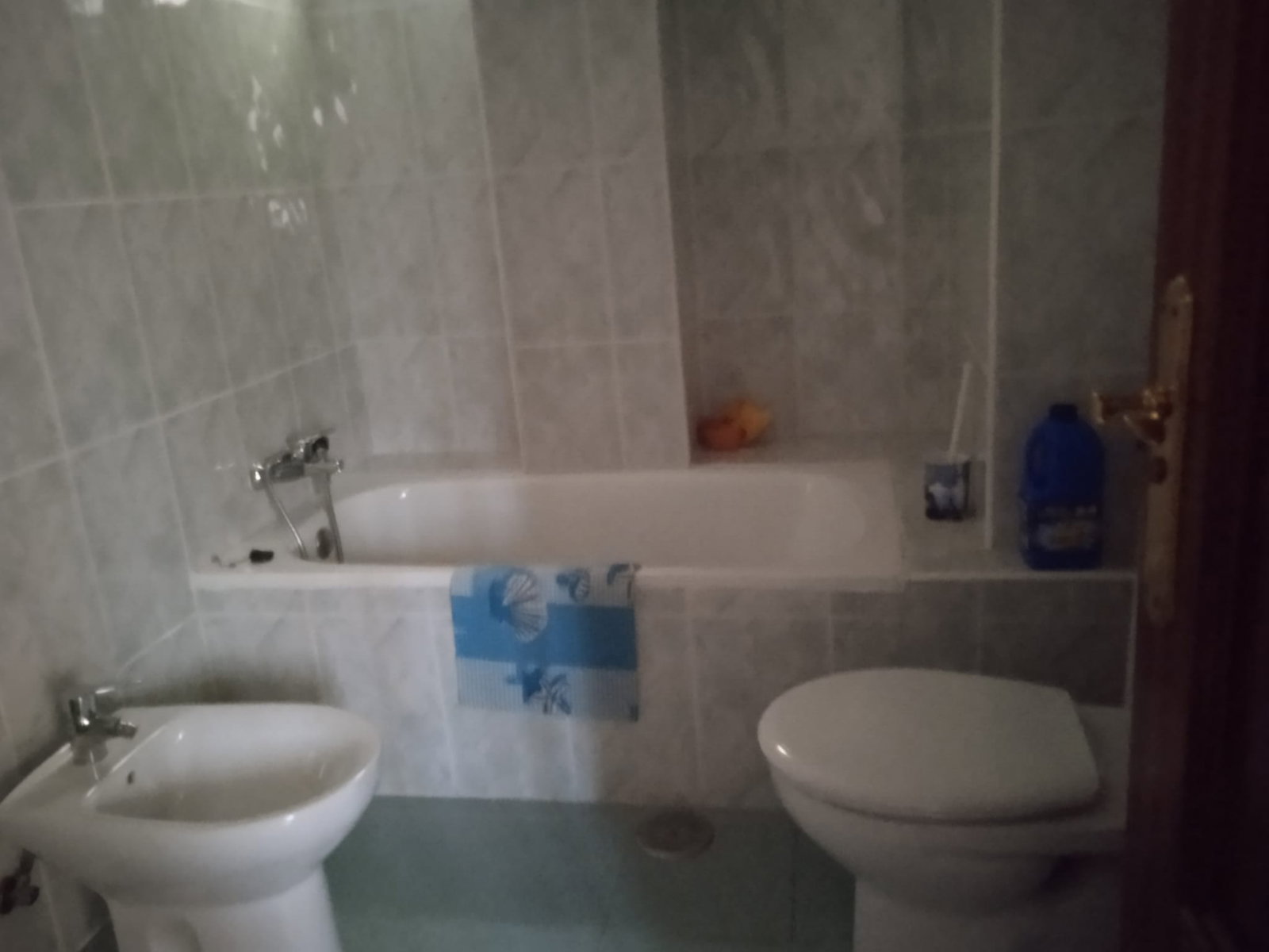 Colocation Málaga 673430