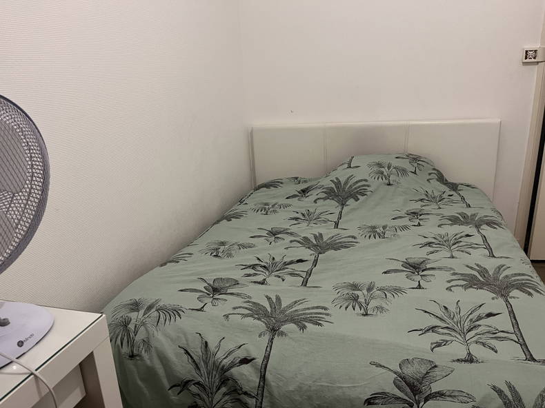Habitación En Casa Del Anfitrión Lyon 673484-2