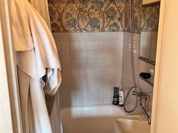 Chambre chez l'habitant à louer à Marseille - photo 11 : salle de bain-11