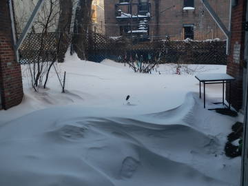 Quedarse En Casa Montréal 615288