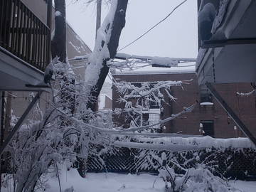 Chambre Chez L'habitant Montréal 615288-9