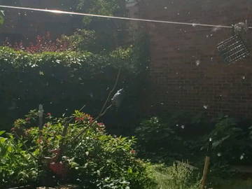 Chambre Chez L'habitant Montréal 615288-8