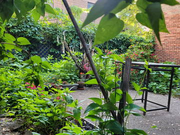 Chambre chez l'habitant à louer à Montréal - photo 8 : jardin-8