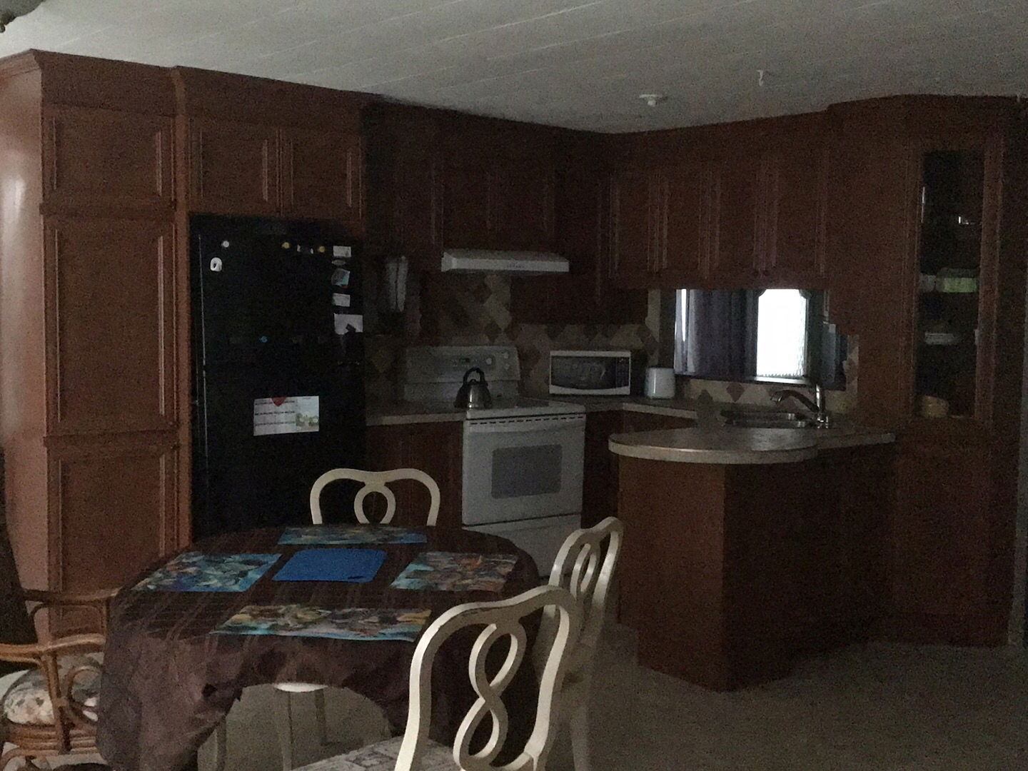 Colocation Saguenay--Lac-Saint-Jean 261800