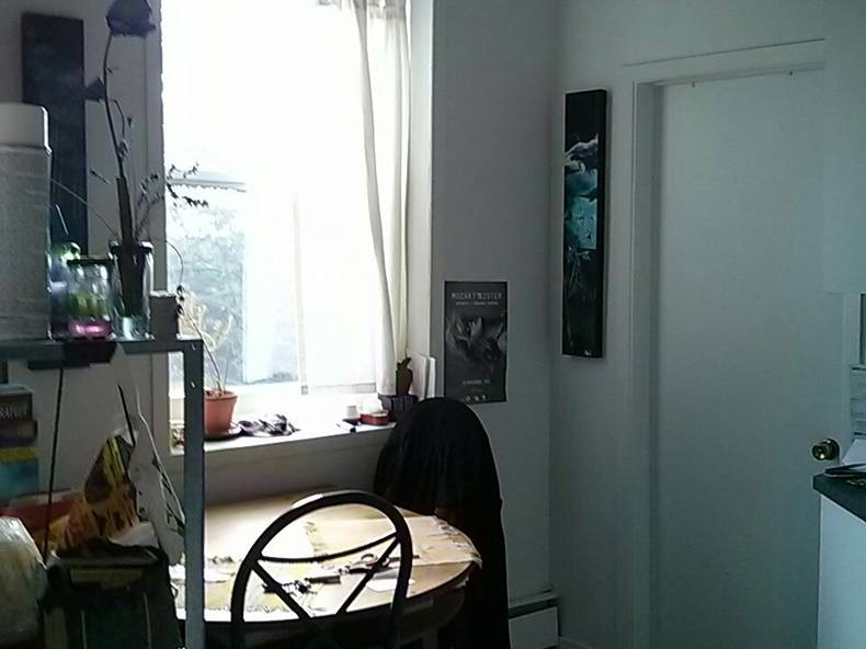 Colocation Ville de Québec 122714-2