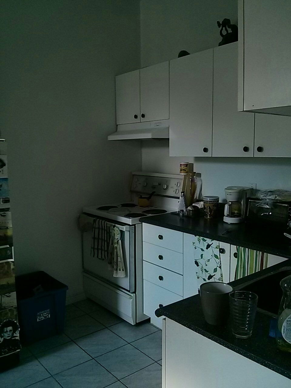 Colocation Ville de Québec 122714