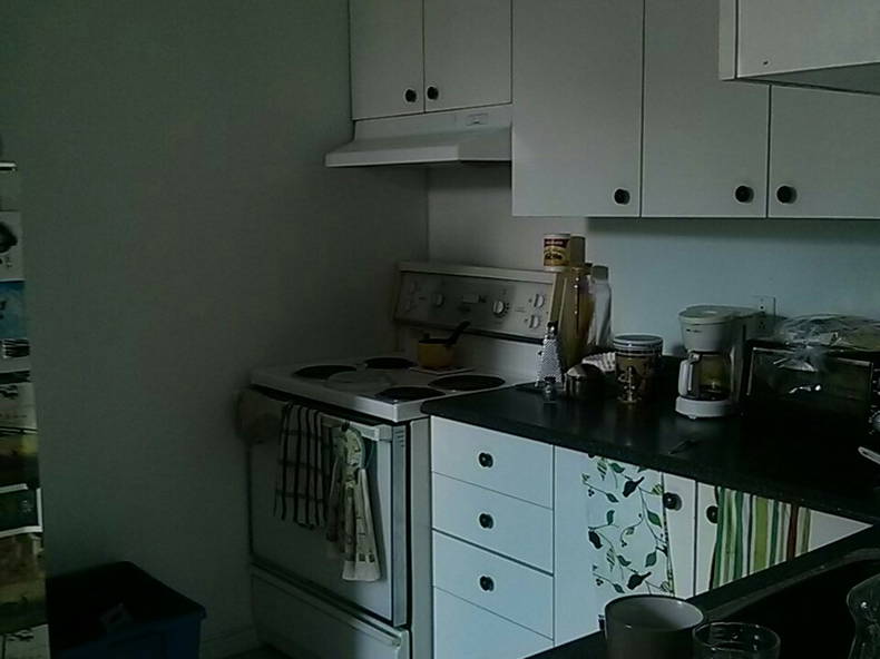 Colocation Ville de Québec 122714-3