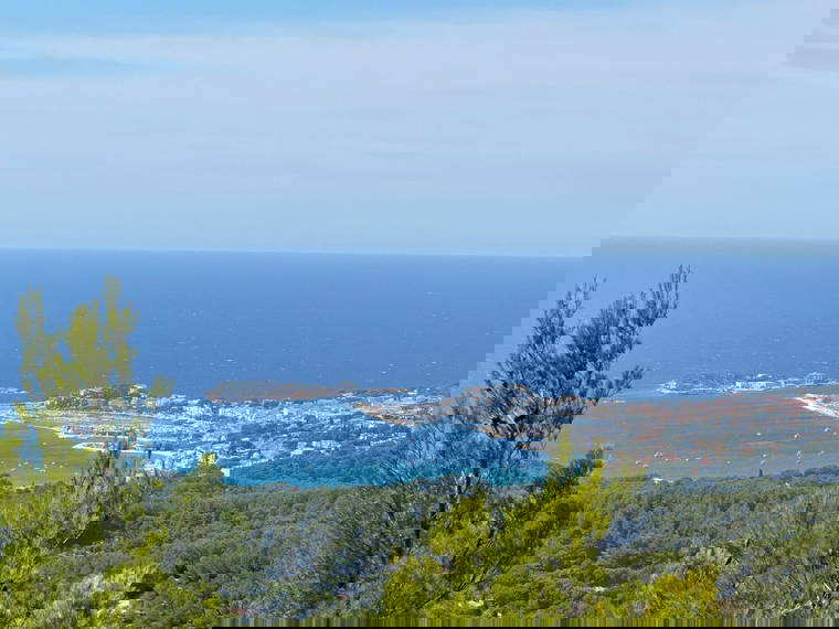 Gastfamilie Toulon 639983