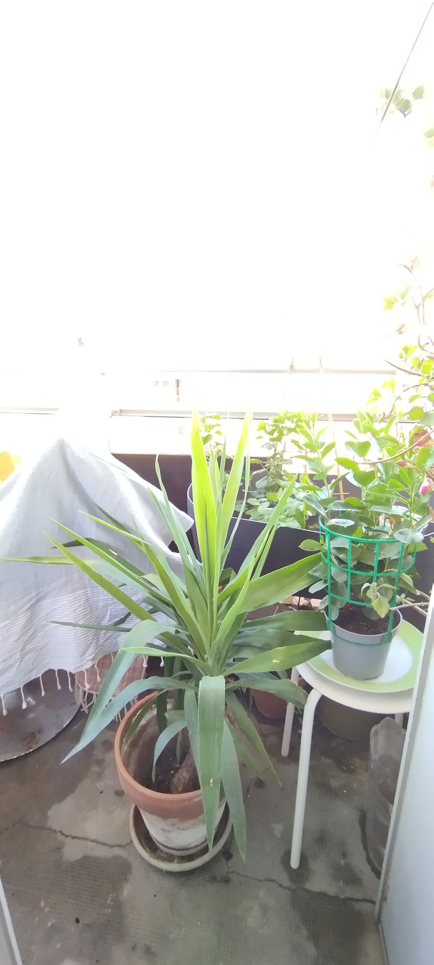 Chambre Chez L'habitant Toulon 639983