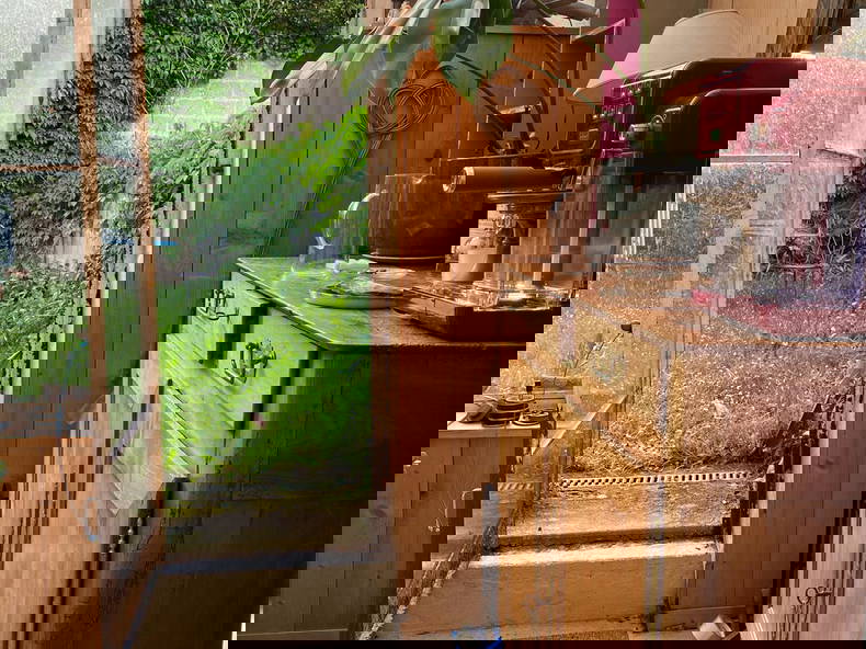 Hemvistelse Donville-les-Bains 440297-4