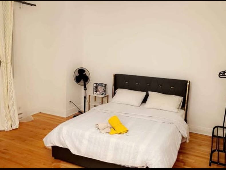 Kolokation Montréal 562524-1