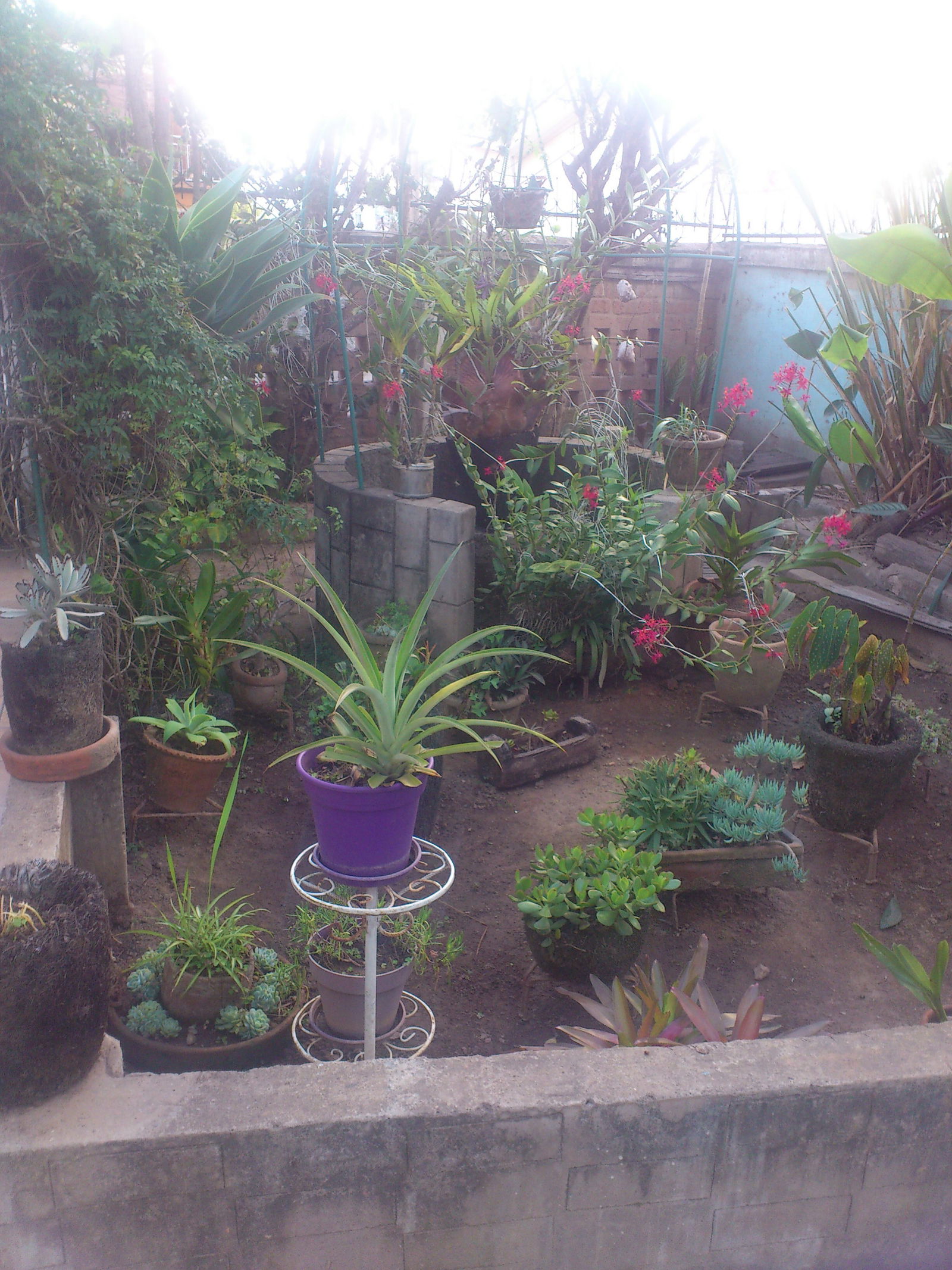 Hemvistelse Antananarivo 205659