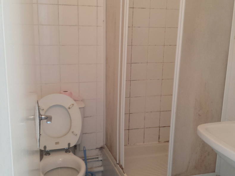 Kolokasie Antony 101703-3