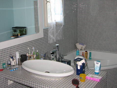 Ganzes Haus Avignon 9394-3