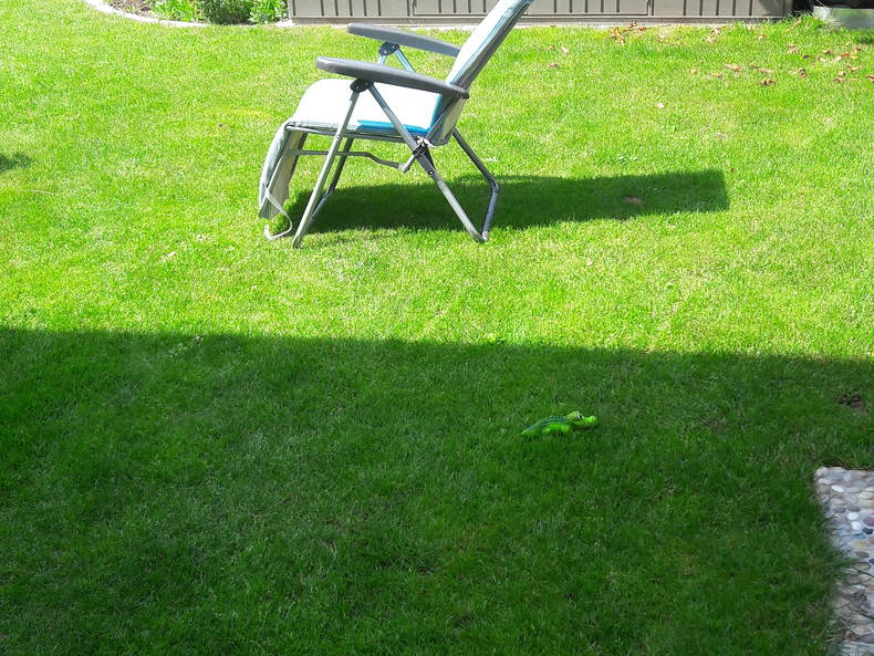 Gastgezin Bex 226996-2