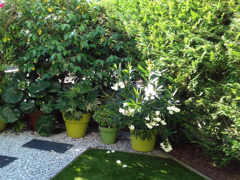 Gastfamilie Bordeaux 240721-4