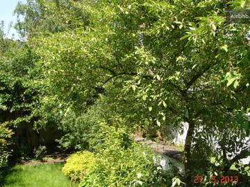 Chambre D'hôte Bruxelles 61145-12