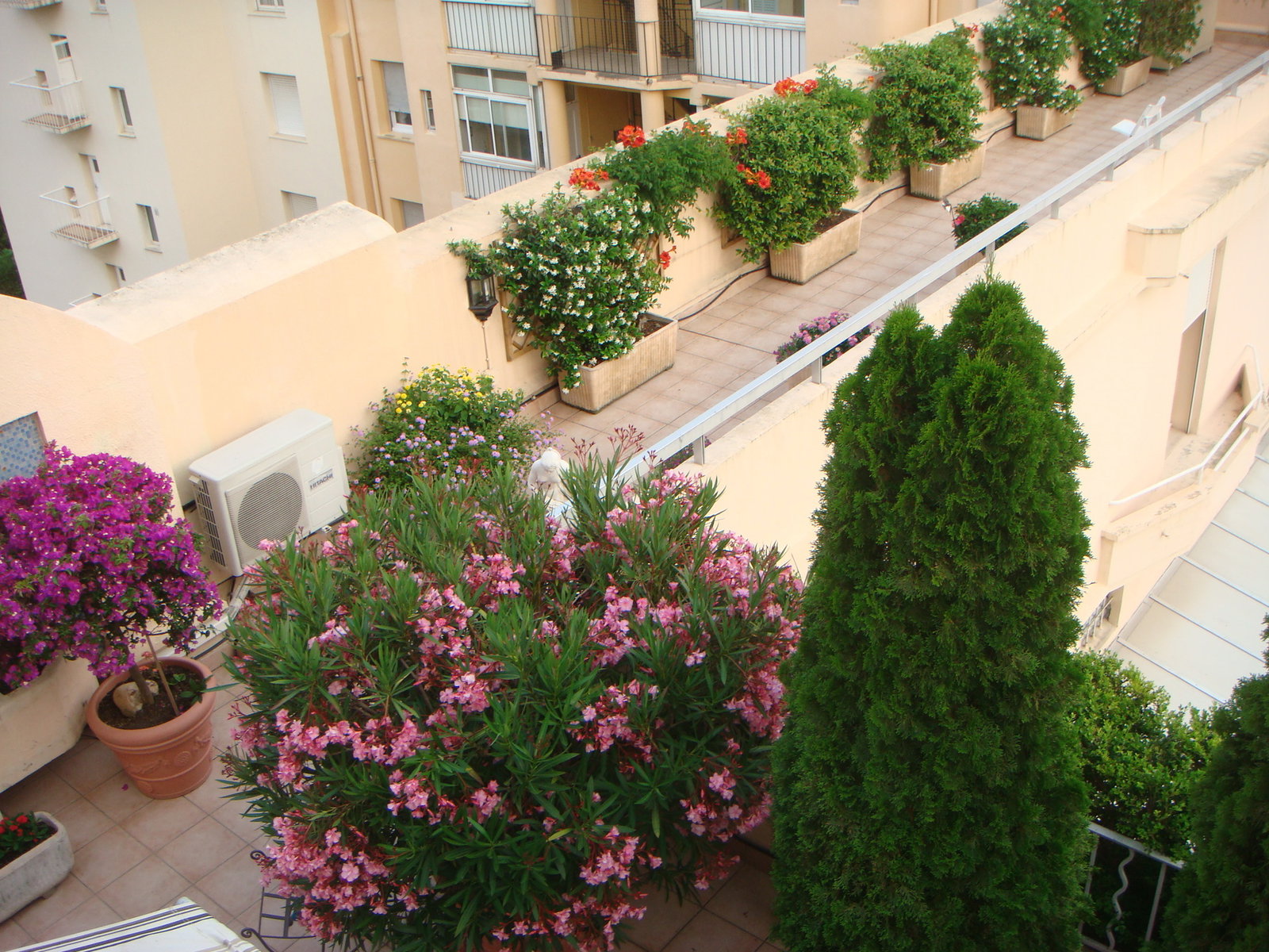 Chambre Chez L'habitant Cannes 67382