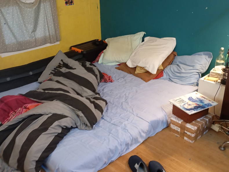 Chambre Chez L'habitant Choisy-le-Roi 484337-4