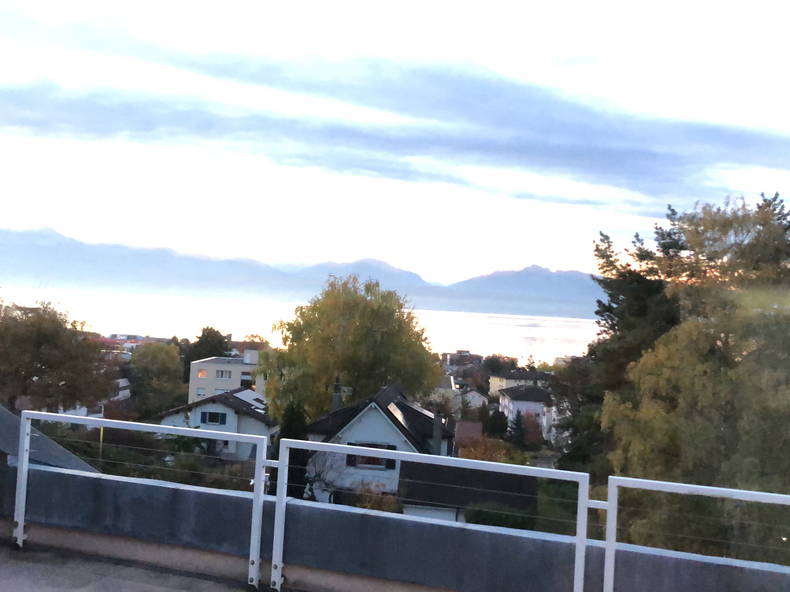 Chambre Chez L'habitant Morges 672072-4